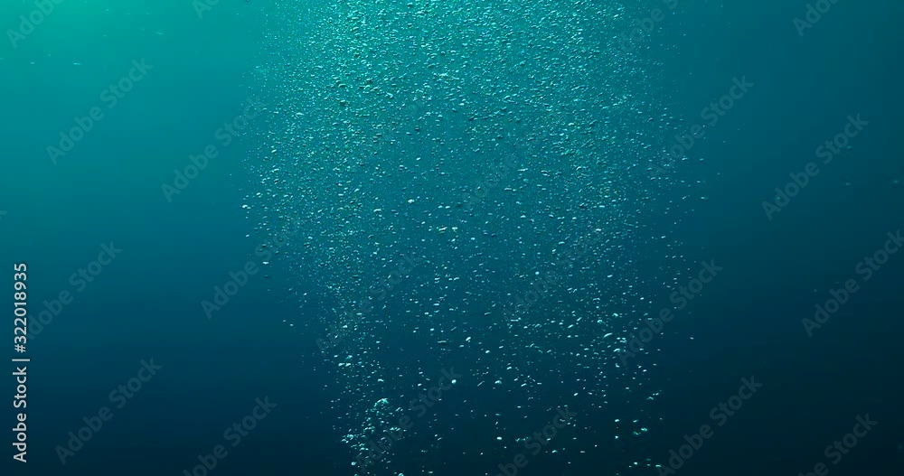 Underwater bubbles in the Ocean. Bubbles float to surface in tropical blue sea. 