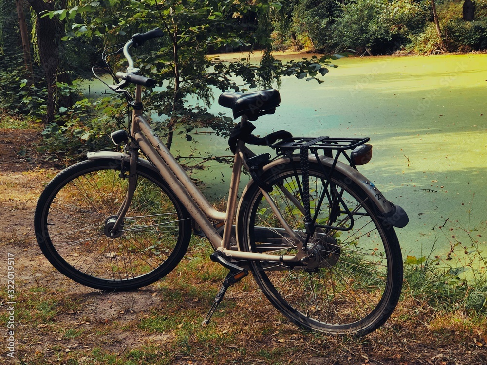 Bicicleta aparcada junto a un lago verde con mucha vegatación en el parque Tiergarten de Berlín