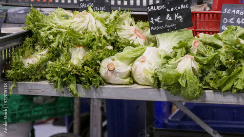 organic escarole salad on the market