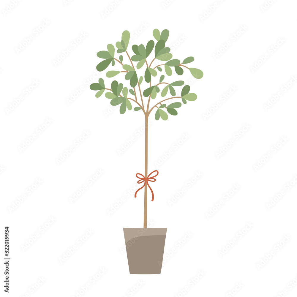 Obraz premium Flowers and plants in pots isolated on white