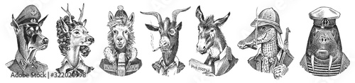 Foto Animal characters set