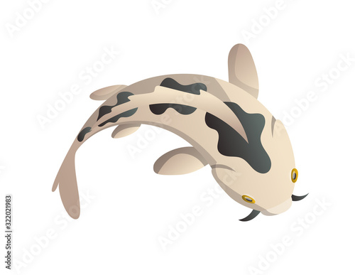 Calmly floating fish. Koi fish vector illustration japanese carp, colorful oriental koi in Asia. Chinese goldfish, traditional fishery isolated on background
