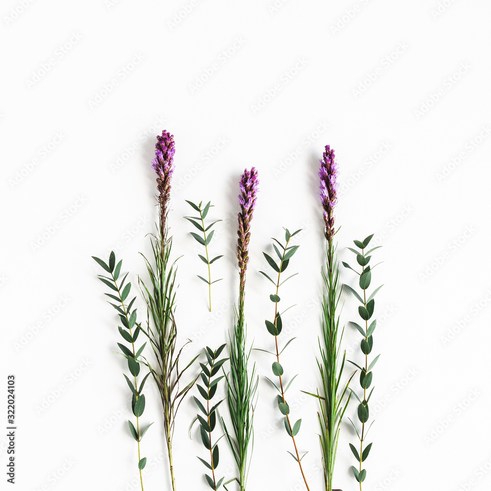 Fototapeta premium Flowers composition. Purple flowers, eucalyptus branches on white background. Spring concept. Flat lay, top view