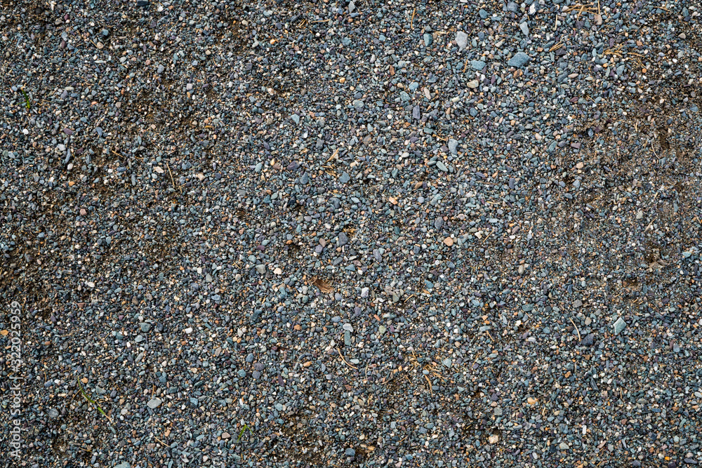 The texture of a shallow river stone. Pebble Background Image The texture of a shallow river stone. Pebble Background Image