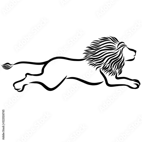 Fototapeta Naklejka Na Ścianę i Meble -  fast running lion with a magnificent mane
