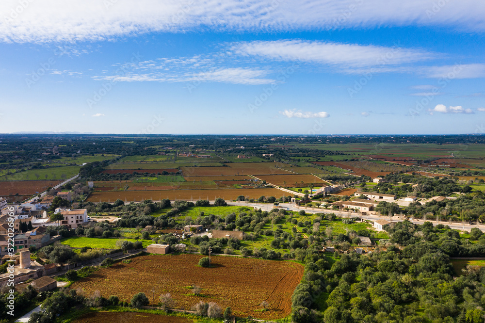 The fields of Mallorca in winter