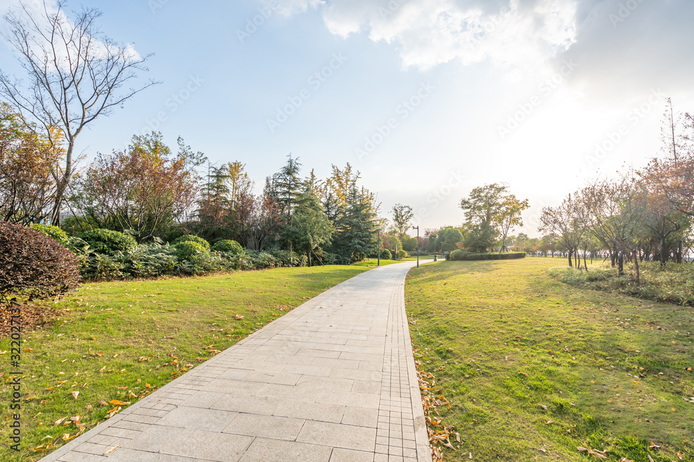 road in park road in park