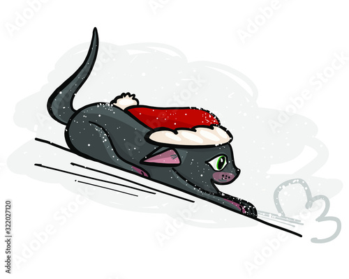 vector image of festive cat, fun before Christmas, winter tradition, vector picture for postcard or website