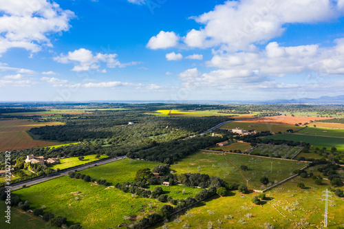 The fields of Mallorca in winter