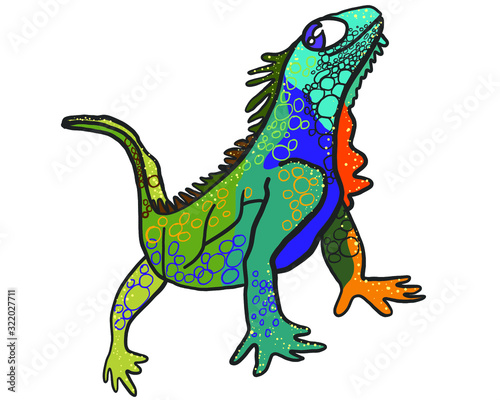 vector illustration, lizard, iguana chameleon, isolated cartoon illustration, postcard
