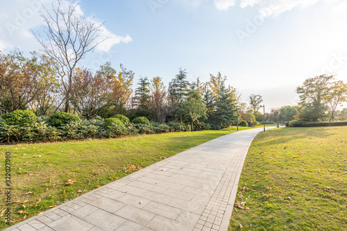 road in park