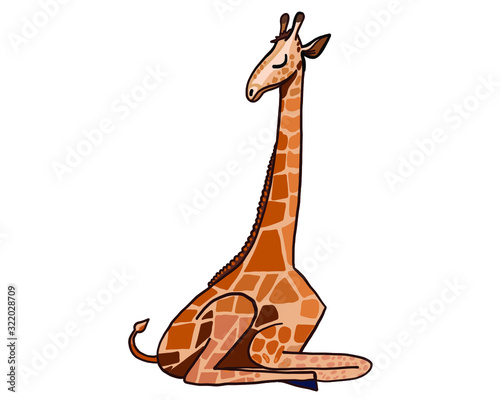 calm giraffe resting under the hot sun