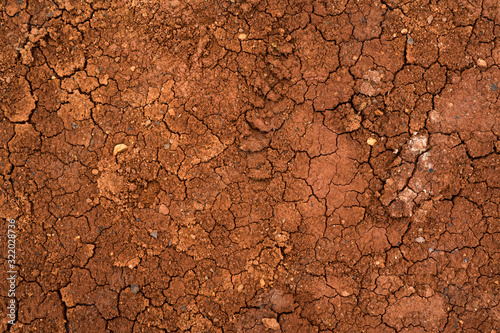 Texture of dried cracked clay. Macro background image of dried clay
