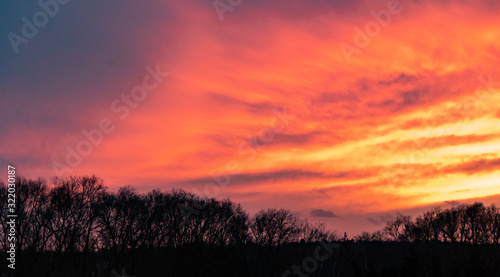 Deep red sunset sky with trees silhouette 