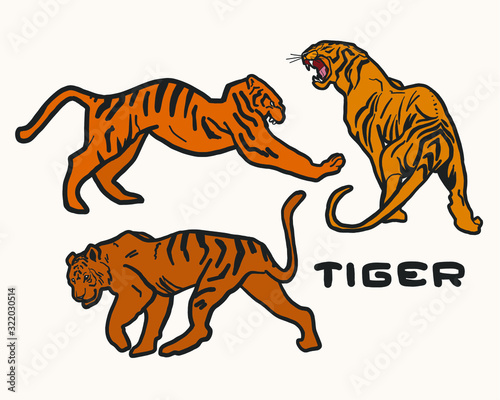 vector illustration of tigers, predators in different poses, silhouette, set of tigers for a logo or sticker