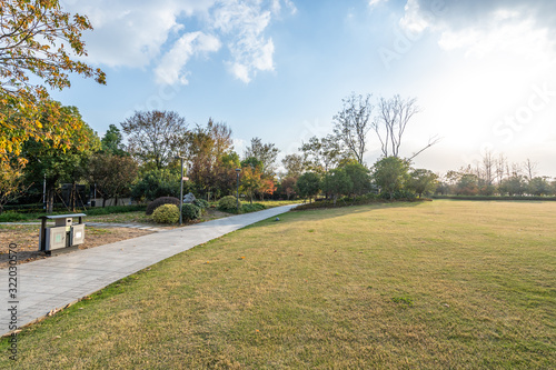 road in park