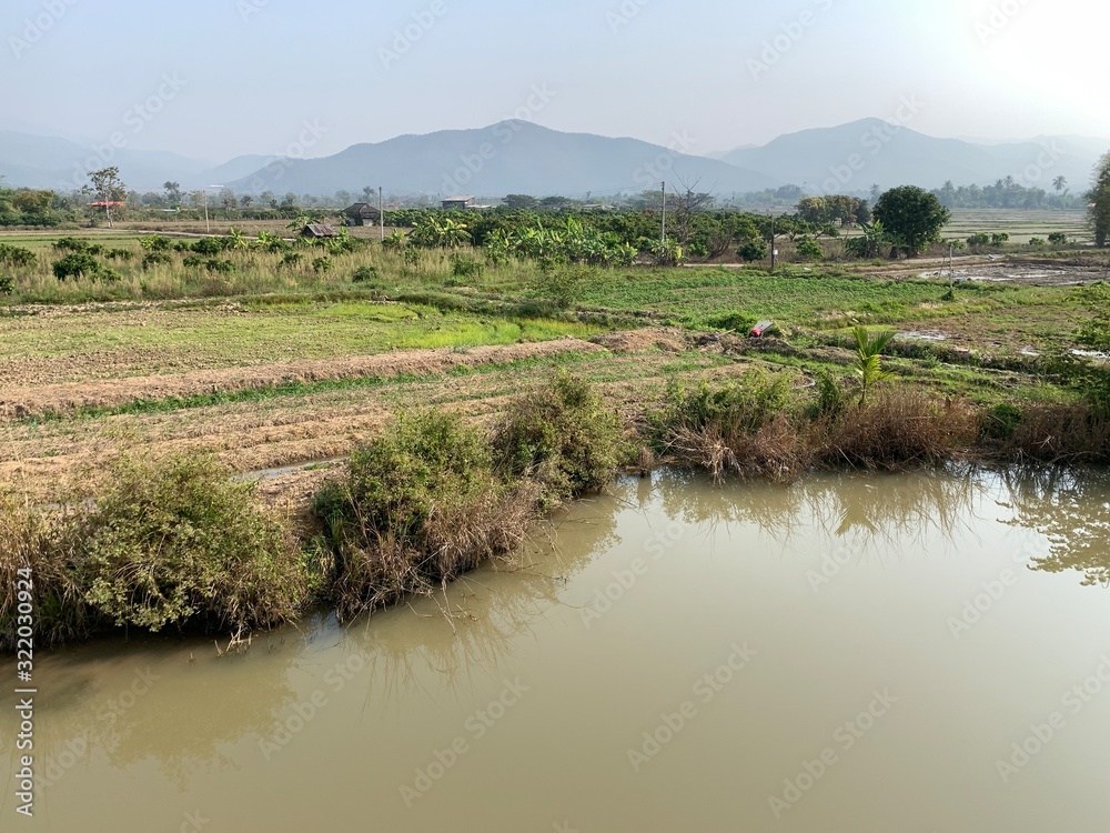 landscape view of rice field and river