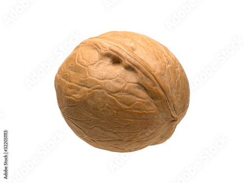 Closed ripe walnut isolated object