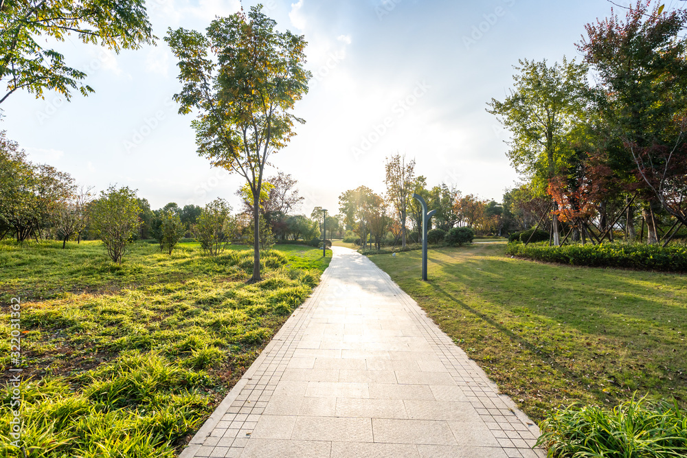Fototapeta premium road in park