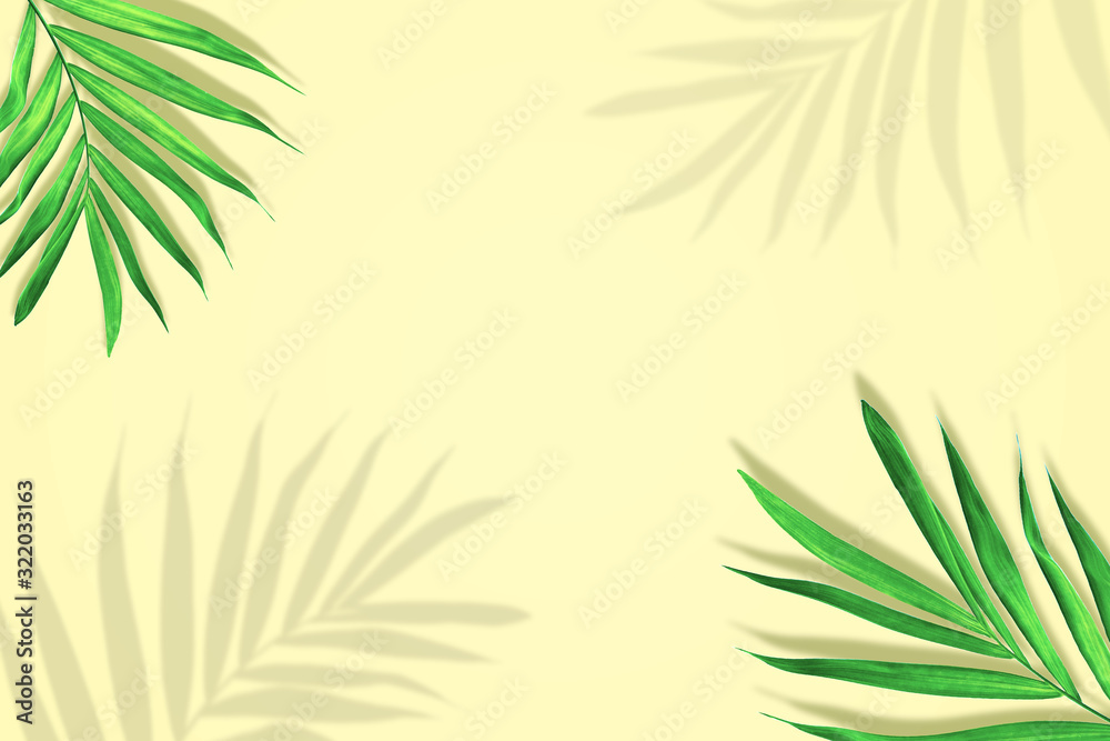 Palm leaves in vibrant color