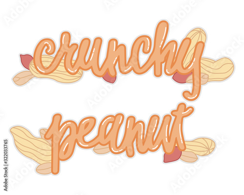 crunchy peanuts isolated vector illustration with handwritten lettering for banner, print, sticker, food decoration