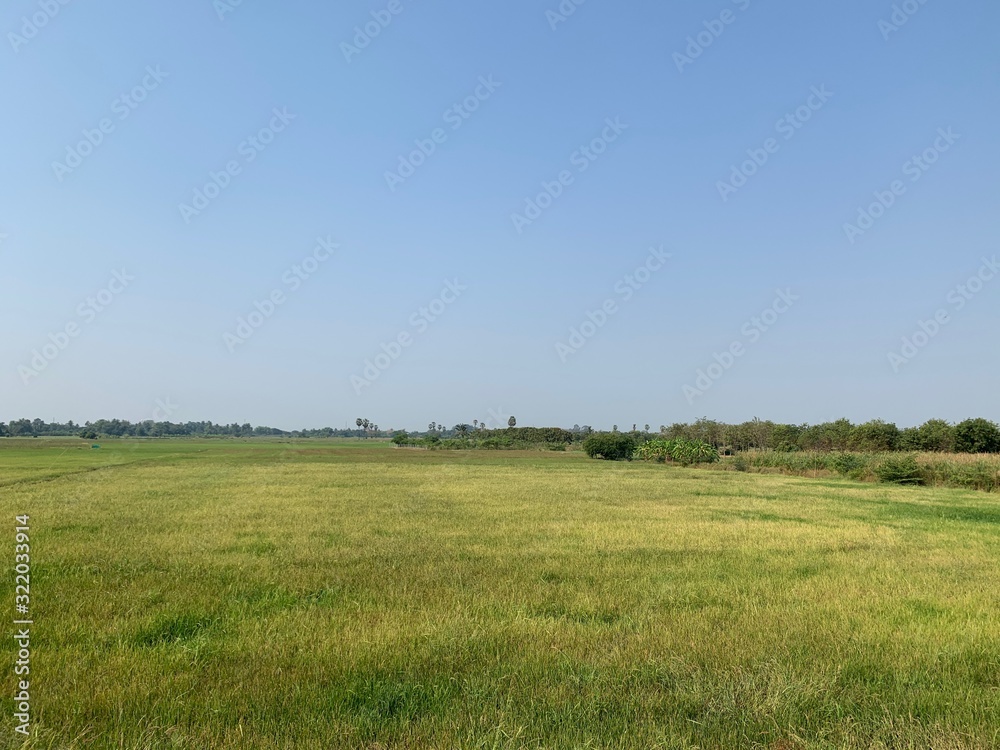 view of a green meadow under the blue sky as beautiful natural background