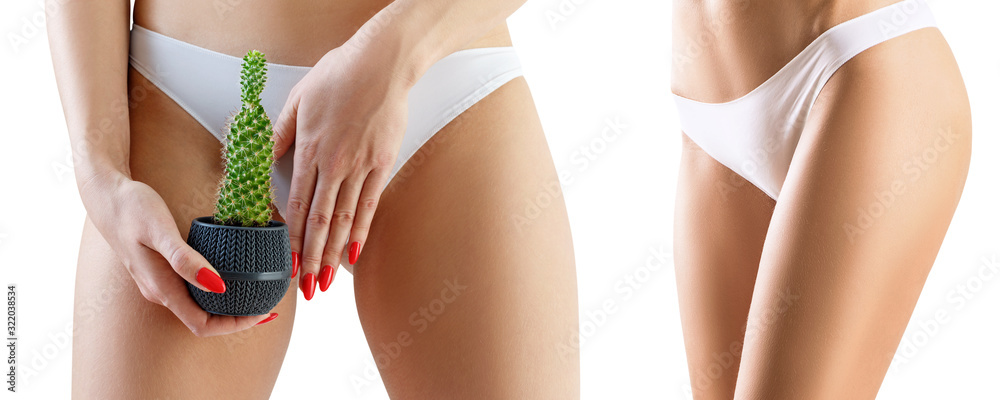 Εκτύπωση καμβά Woman holds a green cactus over her white panties background.