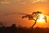 Sonnenuntergang Afrika
