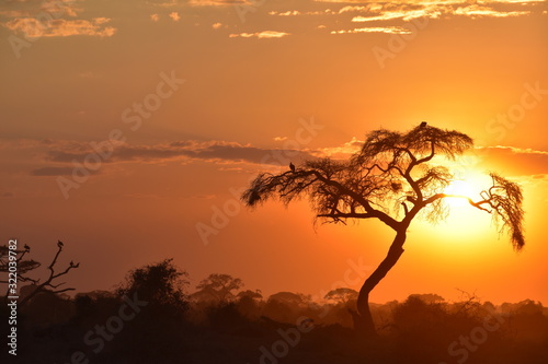 Sonnenuntergang Afrika © Sandra