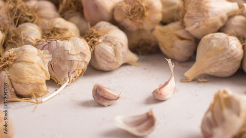 Wallpaper Mural What garlic is to salad, insanity is to art. Torontodigital.ca