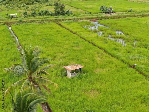 A top down aerial view of a paddy field with farmers at work. Located in Kuching, Sarawak, Malaysia.General scenery of a paddy field, huts, trees and farmers.