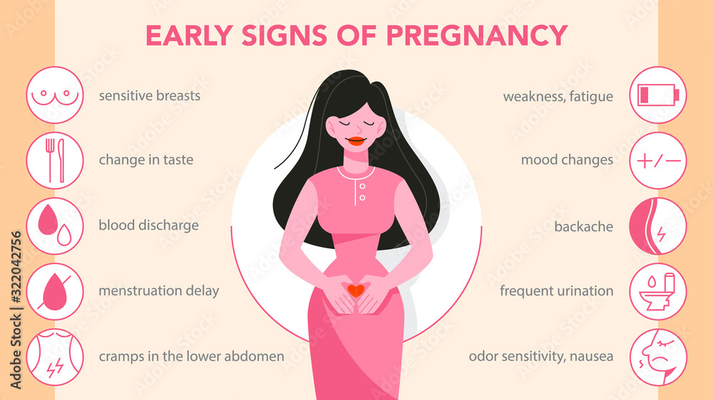 First symptoms of pregnancy infographic. Weakness and backache First symptoms of pregnancy infographic. Weakness and backache