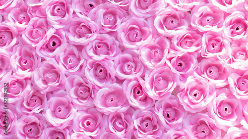 Spring forest close up flowers pink beautiful background