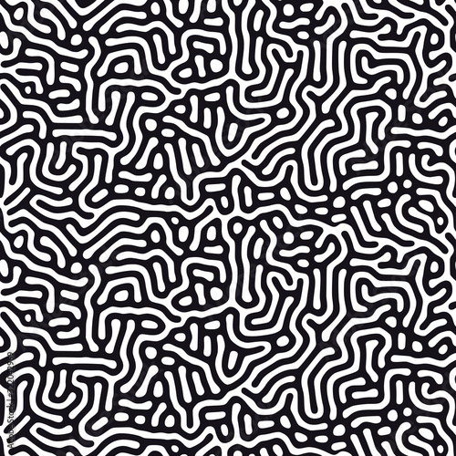 Modern organic background with rounded lines. Structure of natural cells, maze, coral. Black and white vector seamless patterns with diffusion reaction. Linear design with biological shapes.