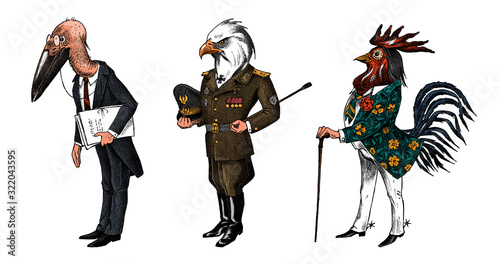 Bird man, Bald eagle and marabou head in military uniform. Dressed Rooster or Cock cowboy. Hand drawn fashionable cockerel. Engraved old monochrome sketch. Mythical fashion creature in hipster style.