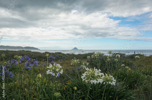 Beautiful Landscape of New Zealand