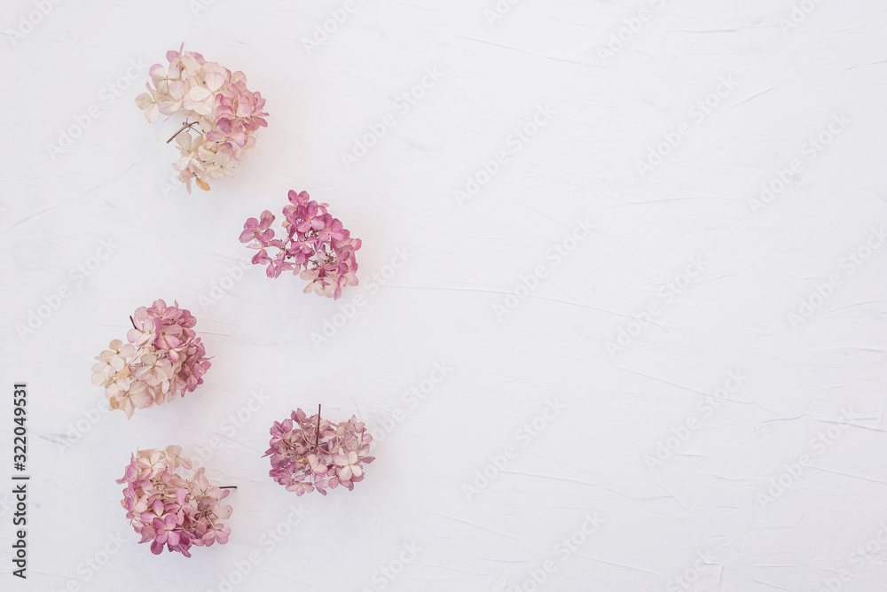 Dry floral branch on white background. Flat lay, top view minimal neutral flower background. Dry floral branch on white background. Flat lay, top view minimal neutral flower background.