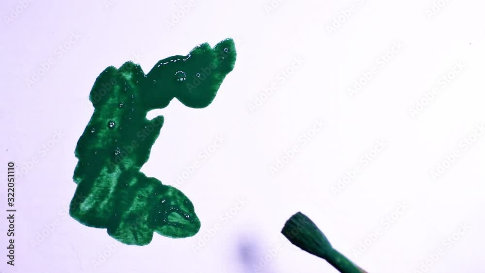 Brush Painted Green Stain On A White Sheet Of Paper Brush Painted Green Stain On A White Sheet Of Paper