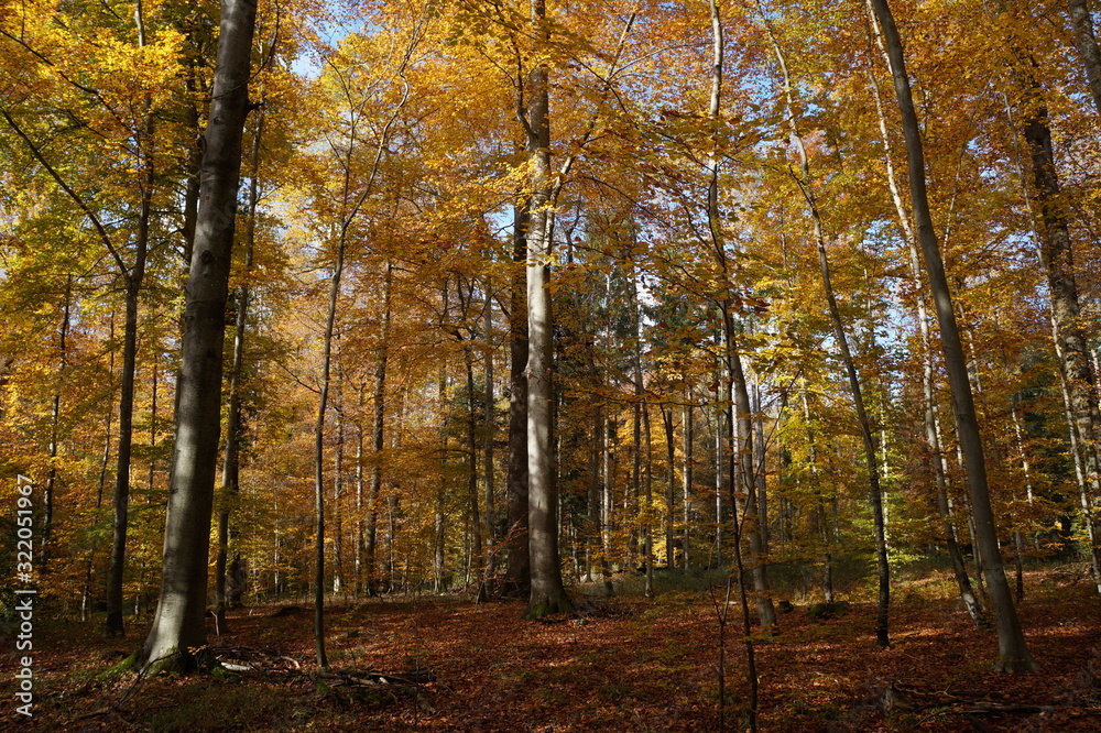 herbstlich