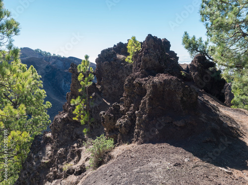 Lava rock formation with lush green pine trees and colorful volcanoes along the path Ruta de los Volcanes, beautiful hiking trail at La Palma island, Canary Islands, Spain, Blue sky background