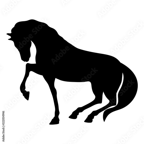 silhouette of a black horse stands with his leg up