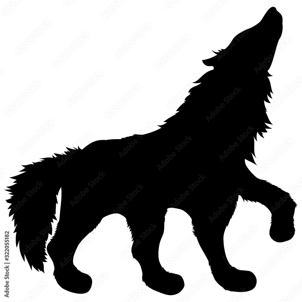 black silhouette of wild animal howling wolf standing with raised paw and fluffy shaggy tail