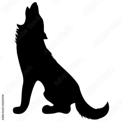 Fototapeta black silhouette of wild animal howling wolf sitting with fluffy shaggy tail