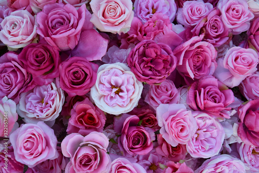 Assorted flowers in shaded of pink. Assorted flowers in shaded of pink.