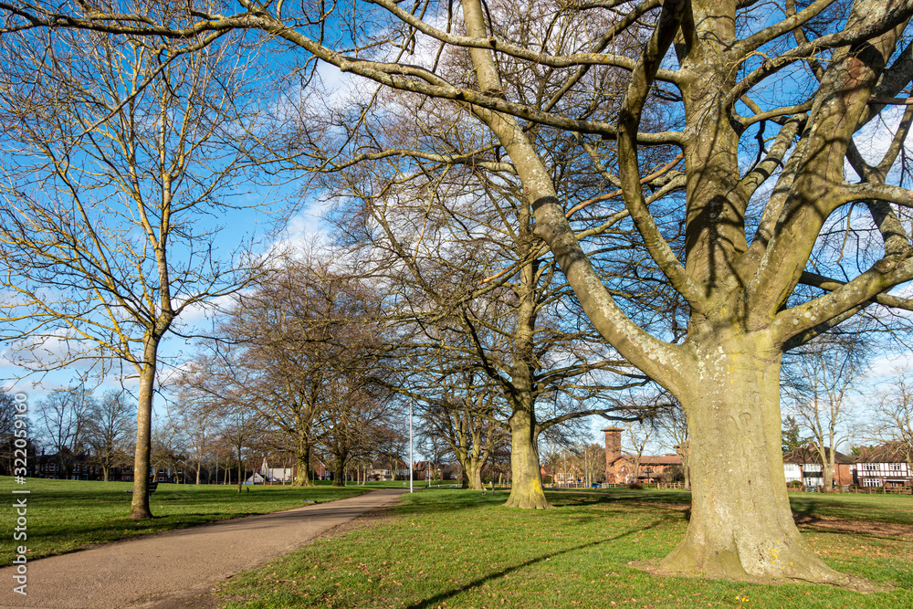 A path through the middle of Prospect Park in Reading, UK A path through the middle of Prospect Park in Reading, UK