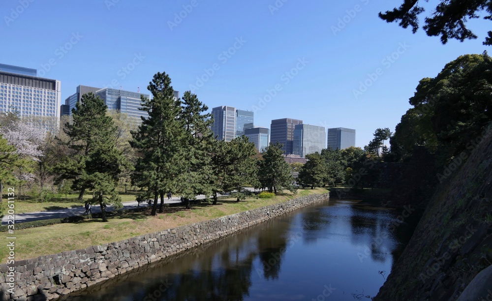 Park with river and trees before skyline during jerry blossom, Tokyo, Japan
