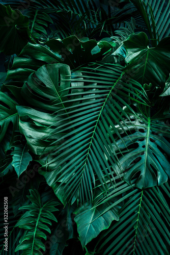 Creative tropical monstera leaf structure renderings Concept, green spring, spring, nature, flat