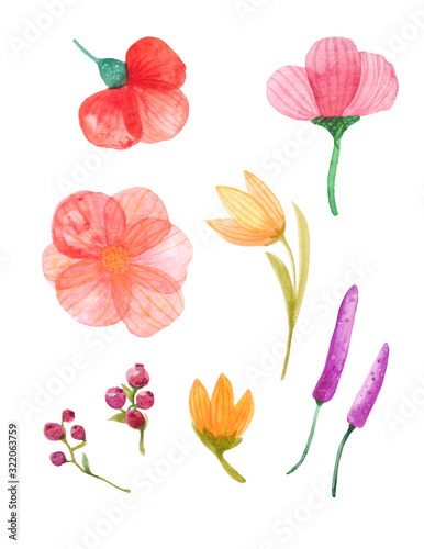 set of watercolor yellows and reds flowers isolated white background