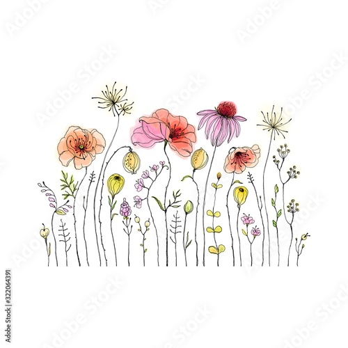 Hand drawn wildflowers and poppies, colorful isolated illustration. Decorative vector print in vintage watercolor style for your template.