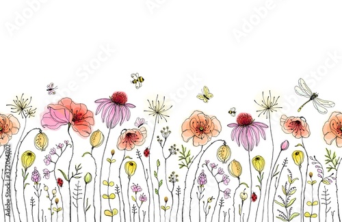 Seamless floral border with colorful wildflowers, poppies, butterflies, bees, dragonfly and ladybugs. Vector horizontal pattern on white background. Hand drawn illustration. photo